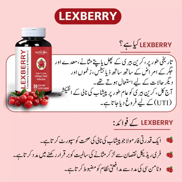 lexberry detail urdu.jpg