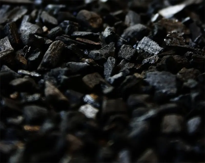 Activated Charcoal