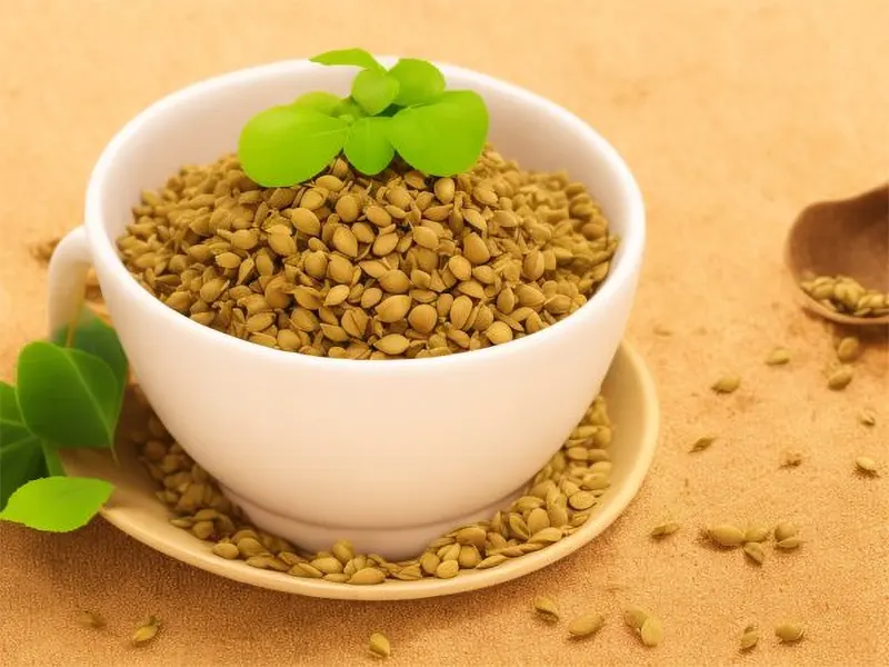 Fenugreek
